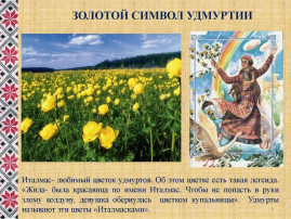 Цветок Италмас Цветок Италмас.